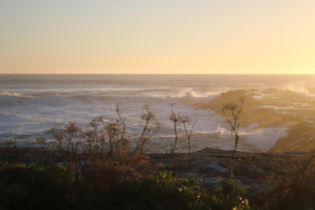 Green Element Guesthouse Costa da Caparica Exterior foto